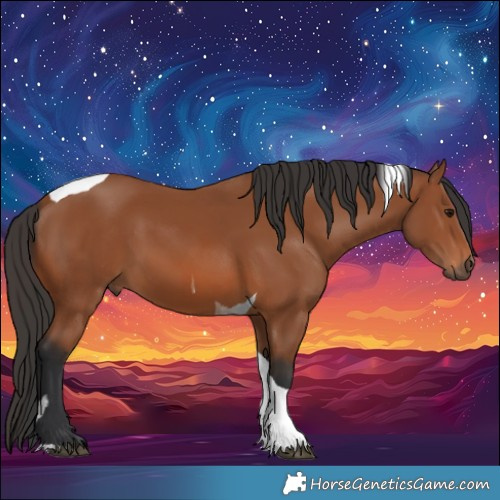 Horse Color:Bay Tobiano Rabicano 