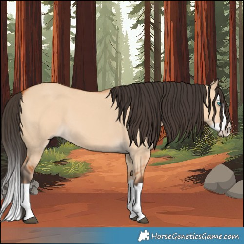 Horse Color:Bay Dun Splash