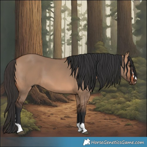 Horse Color:Bay Dun