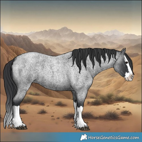 Horse Color:Blue Roan Splash 