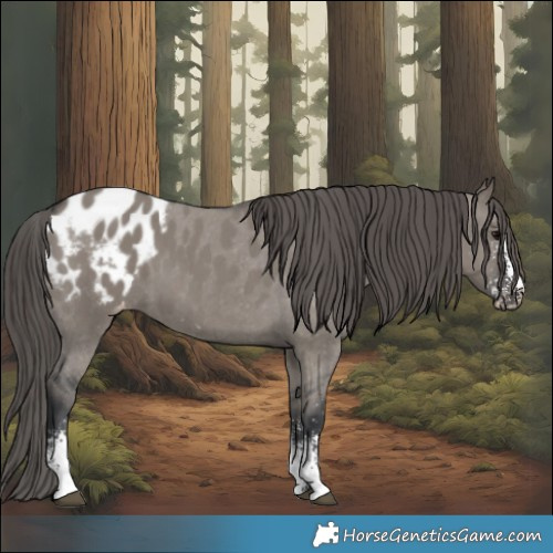 Horse Color:Grullo Sabino Blanket