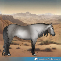 Horse Color:Gray Grullo