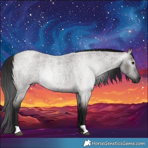 Horse Color:Gray Grullo Roan 
