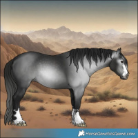 Horse Color:Gray Black