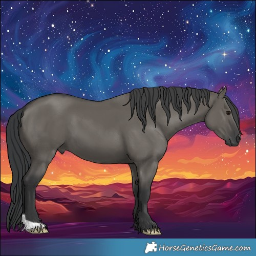 Horse Color:Grullo 