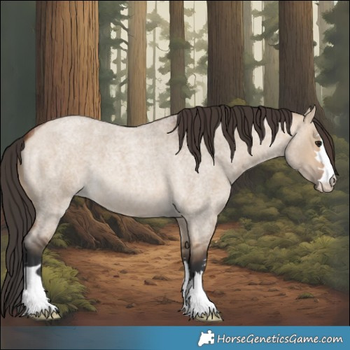 Horse Color:Bay Roan Dun 