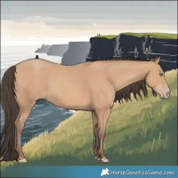 Horse Color:Amber Champagne