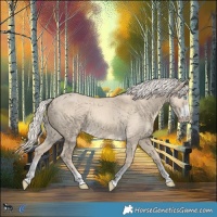 Horse Color:Cremello Dun 