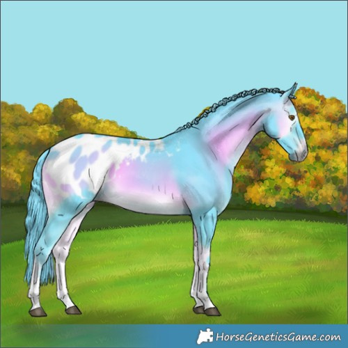 Horse Color:Gray Watercolor Buckskin Onyx Tobiano Appaloosa 