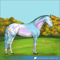 Horse Color:Gray Watercolor Buckskin Onyx Tobiano Blanket 