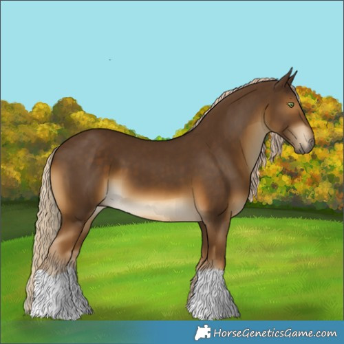 Horse Color:Chocolate Palomino 