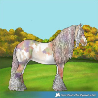 Horse Color:Perlino Dun Splash Tobiano Blanket  and Powder White Nacre Chocolate Palomino Dun Splash Tobiano Rabicano 
