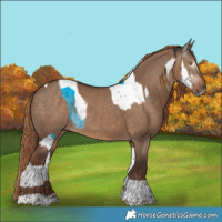 Horse Color:Gray Liver Red Dun Splash Tobiano Brindle  and Liver Red Dun Tobiano 