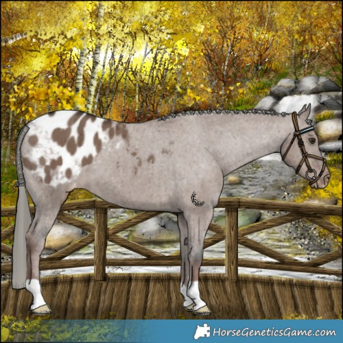 Horse Color:Liver Red Dun Mushroom Blanket Brindle 