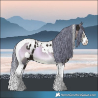 Horse Color:Liver Chestnut Splash Tobiano Blanket  and Watercolor Brown Onyx Splash Tobiano Varnish 