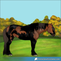 Horse Color:Void Bay Tobiano Frame Varnish 