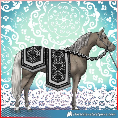 Horse Color:Silver Smoky Black