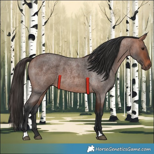 Horse Color:Bay Roan 
