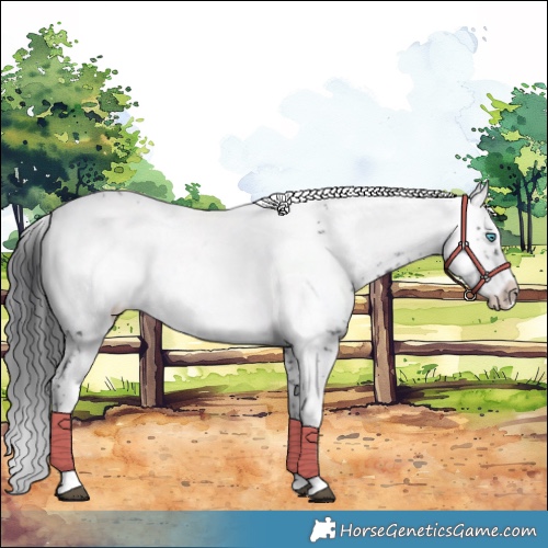 Horse Color:Black Frame 