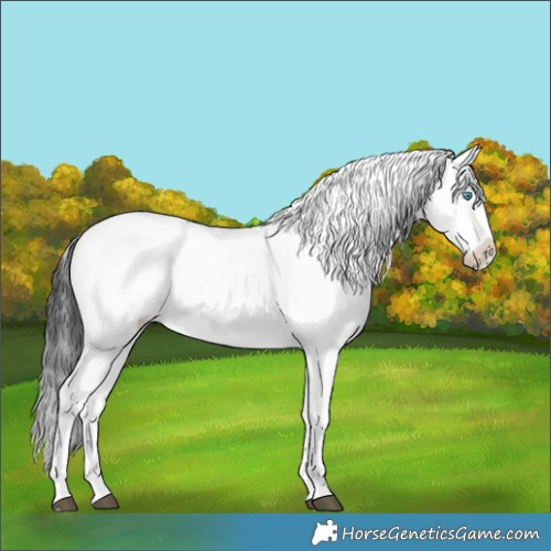 Horse Color:Black Frame 