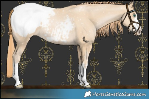 Horse Color:Smoky Black Pearl Snowcap 