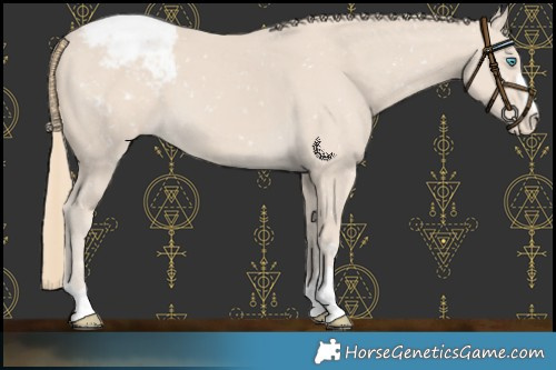 Horse Color:Smoky Creme Snowcap 