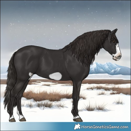 Horse Color:Liver Chestnut Frame 