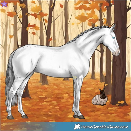 Horse Color:Black Frame 