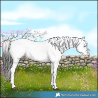 Horse Color:Liver Chestnut Frame