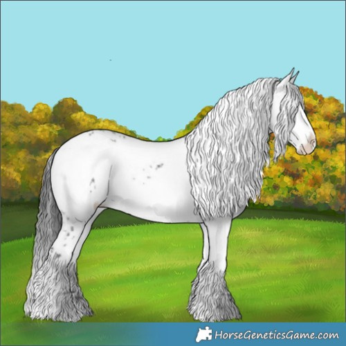 Horse Color:Black Frame