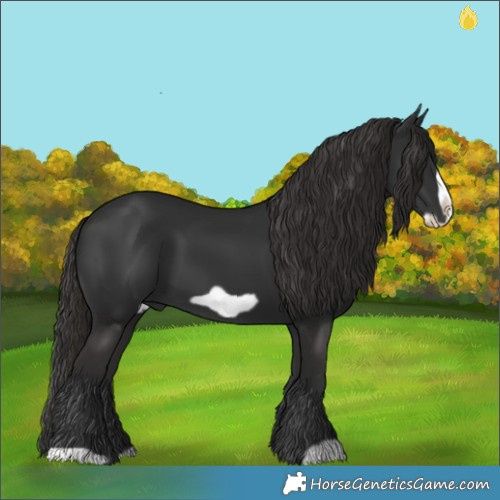 Horse Color:Liver Chestnut Frame 