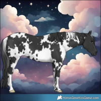 Horse Color:White Spotted Black 