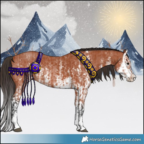 Horse Color:Bay Sabino Rabicano  and Bay Sabino Splash Rabicano 