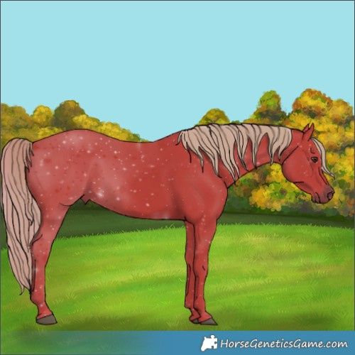 Horse Color:Watercolor Liver Chestnut 