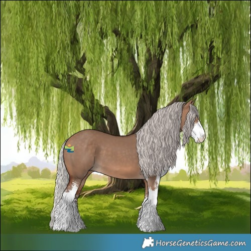 Horse Color:Silver Brown Dun Sabino 