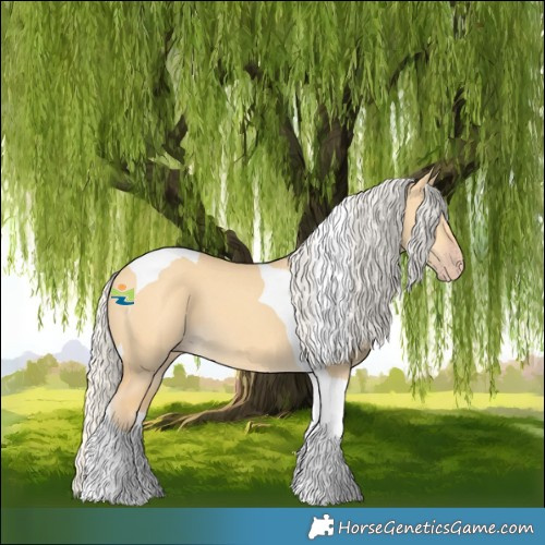 Horse Color:Silver Amber Cream Champagne Dun Tobiano 