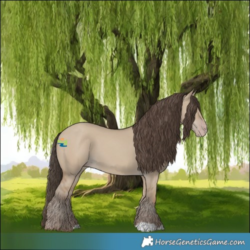 Horse Color:Classic Champagne Dun 