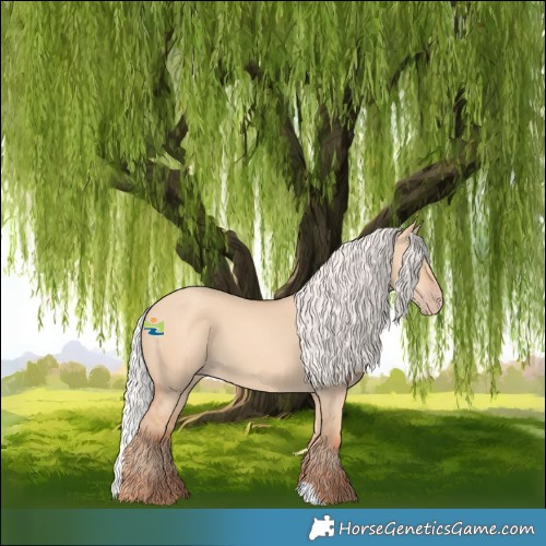 Horse Color:Silver Amber Champagne Dun