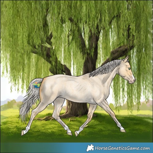 Horse Color:Silver Amber Cream Champagne Roan Dun