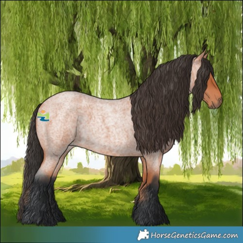 Horse Color:Bay Roan 