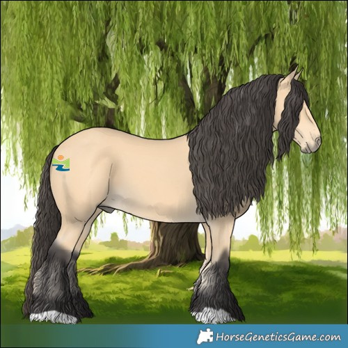Horse Color:Buckskin