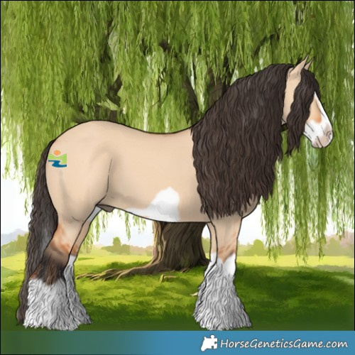 Horse Color:Bay Dun Splash Frame 