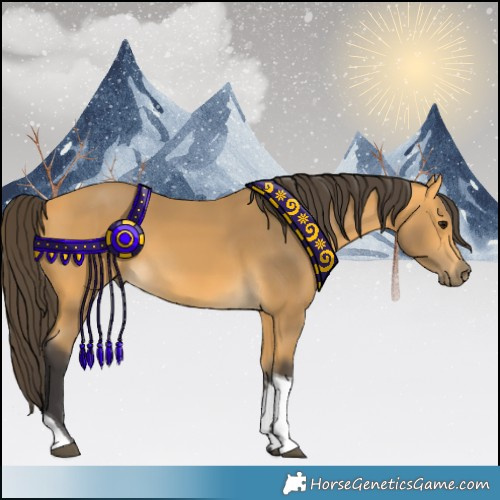 Horse Color:Buckskin Tobiano 