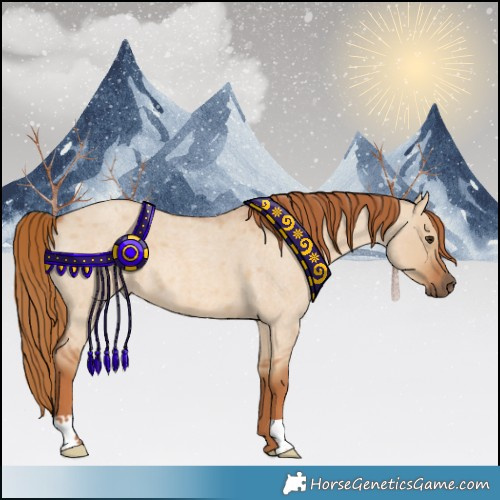 Horse Color:Red Dun Roan 