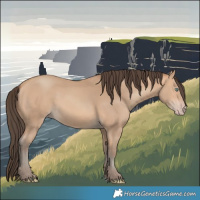 Horse Color:Amber Champagne 