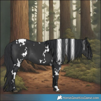 Horse Color:White Spotted Black 