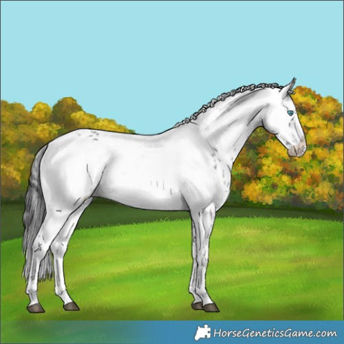 Horse Color:Black Frame 