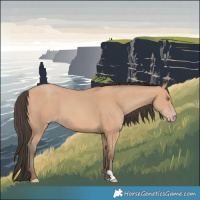 Horse Color:Amber Champagne 