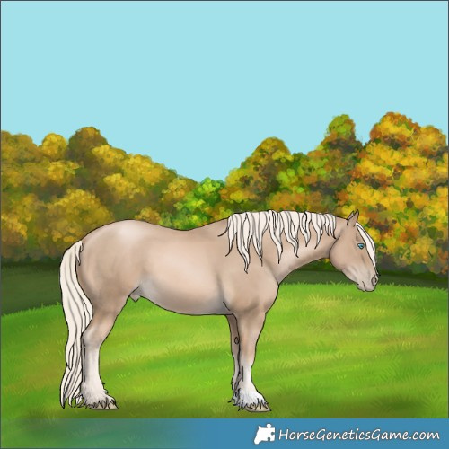 Horse Color:Chocolate Palomino Pearl 