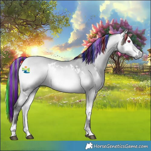 Horse Color:Platinum Painted White Spotted Buckskin Chinchilla Onyx 